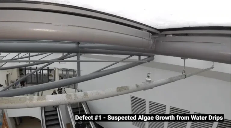 VISCOY used the Elios 3 Drone to inspect a defect: Suspected algae growth from water drips